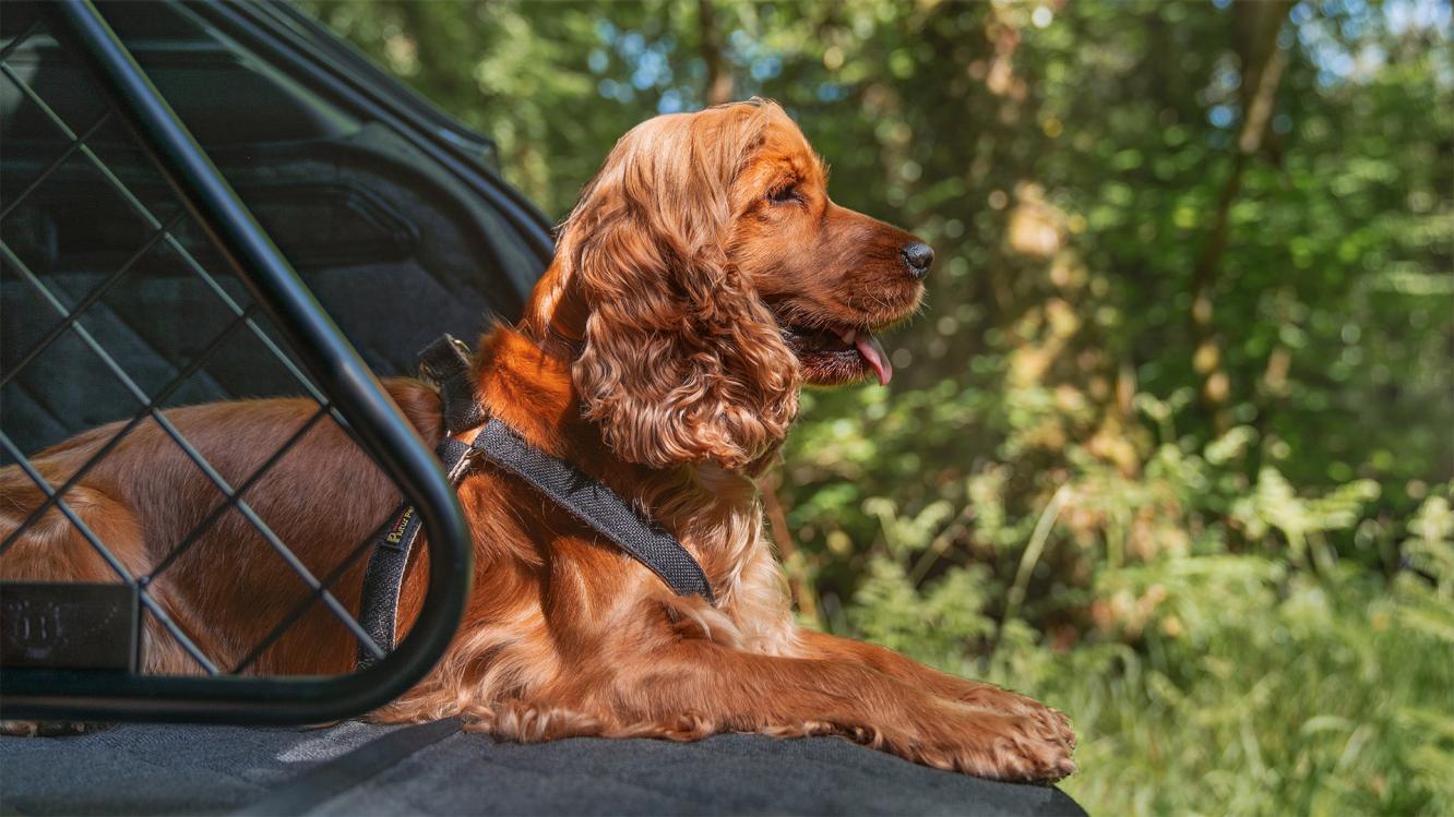 Wycieczki i podróże